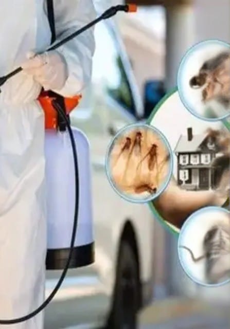 General Pest Control Services