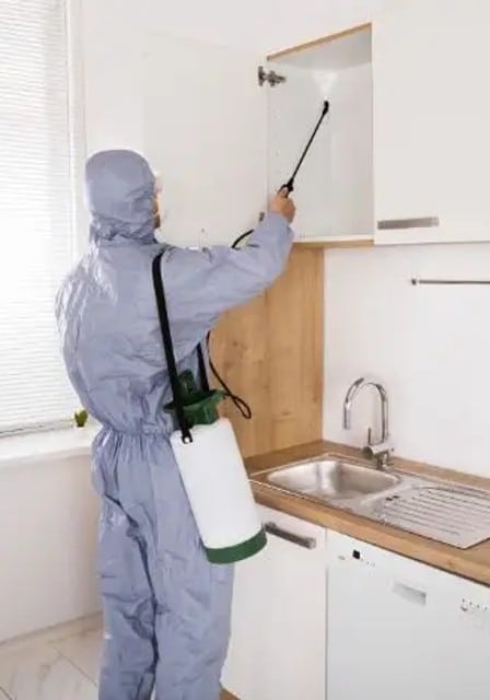 Residential Pest Control Services